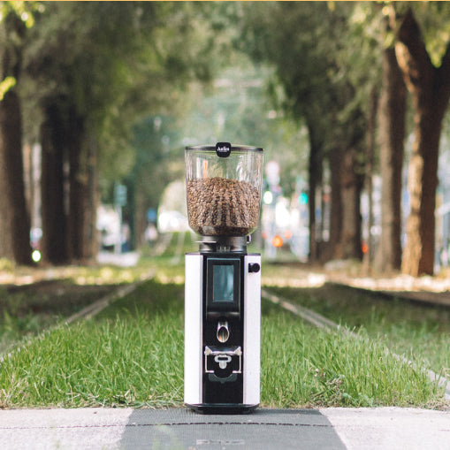 Coffee grinder with coffee beans on a path lined with trees