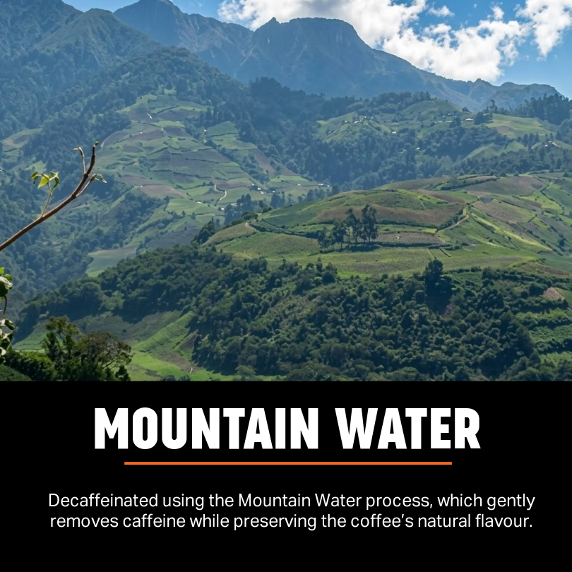 Colombia Mountain Water Decaf Coffee Beans