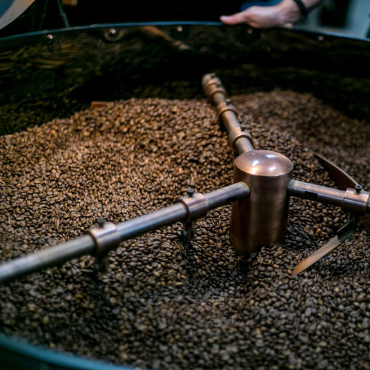 Coffee roasting process with a metal tool in a large container of coffee beans.