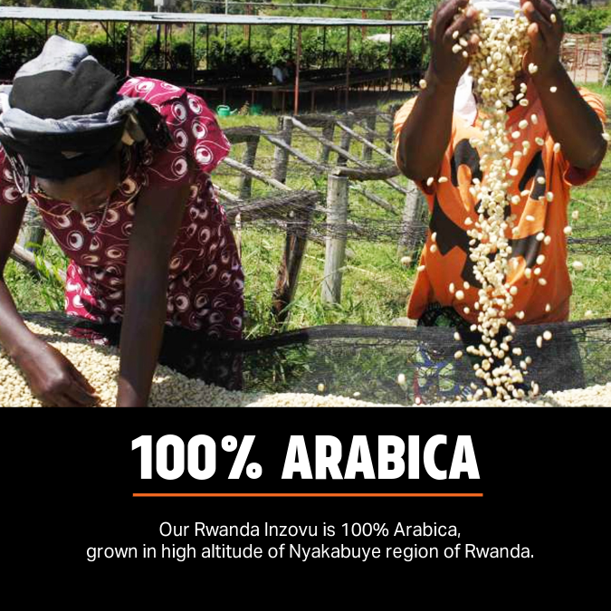 Rwanda Inzovu - Medium Roast
