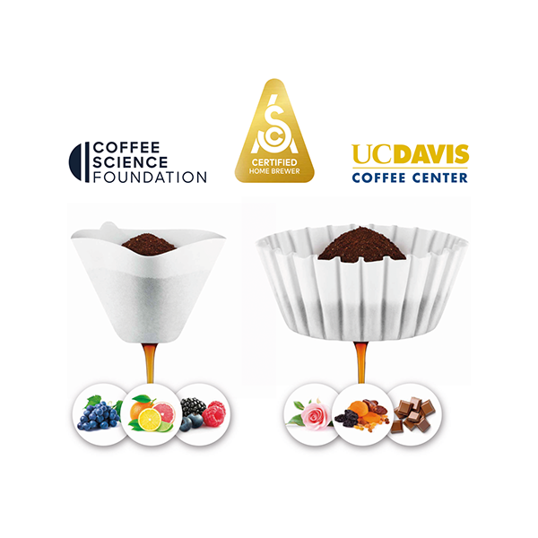 Sage The Luxe Precision Brewer Filter Coffee Machine