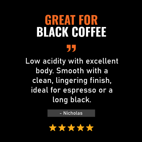 Brazil Santos - Dark Roast