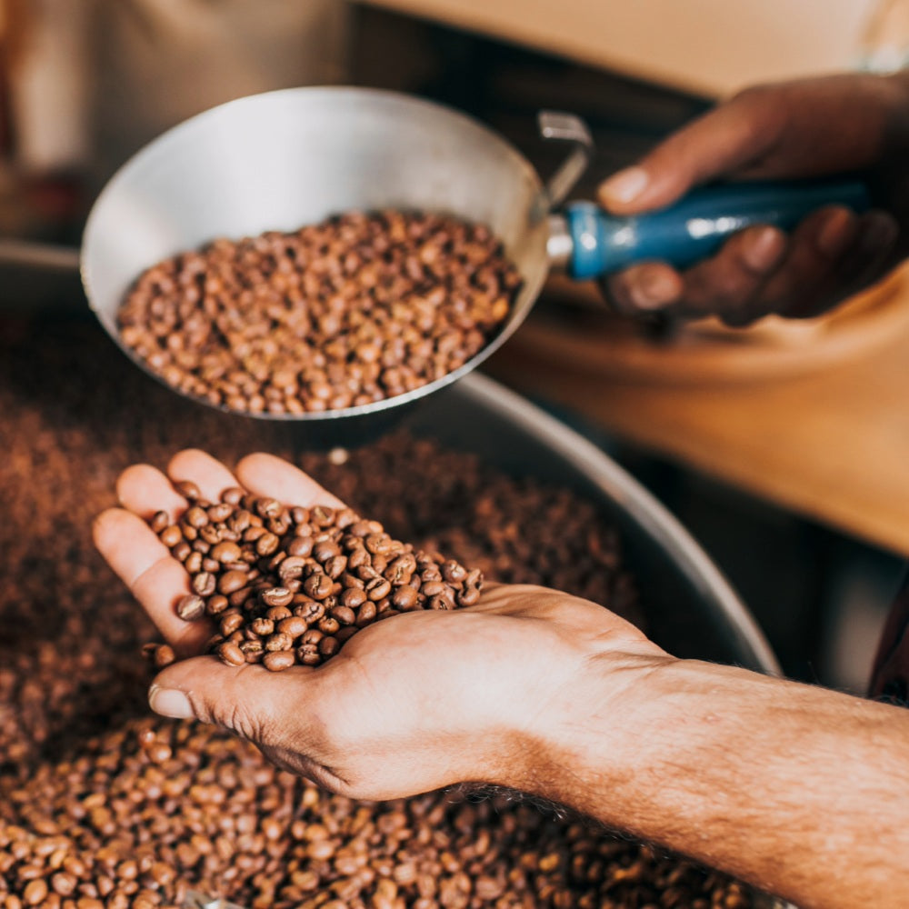 Hand holding coffee beans with a scoop above, in a setting with coffee beans scattered around.