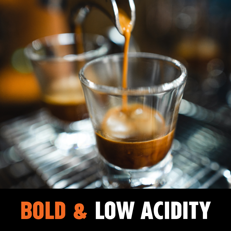 Old Brown Java - Dark Roast