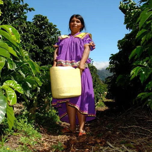 Panama Hortigal - Medium-Dark Roast