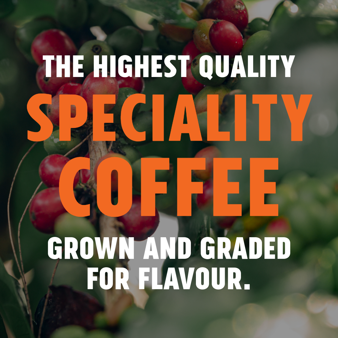 Panama Hortigal - Medium-Dark Roast