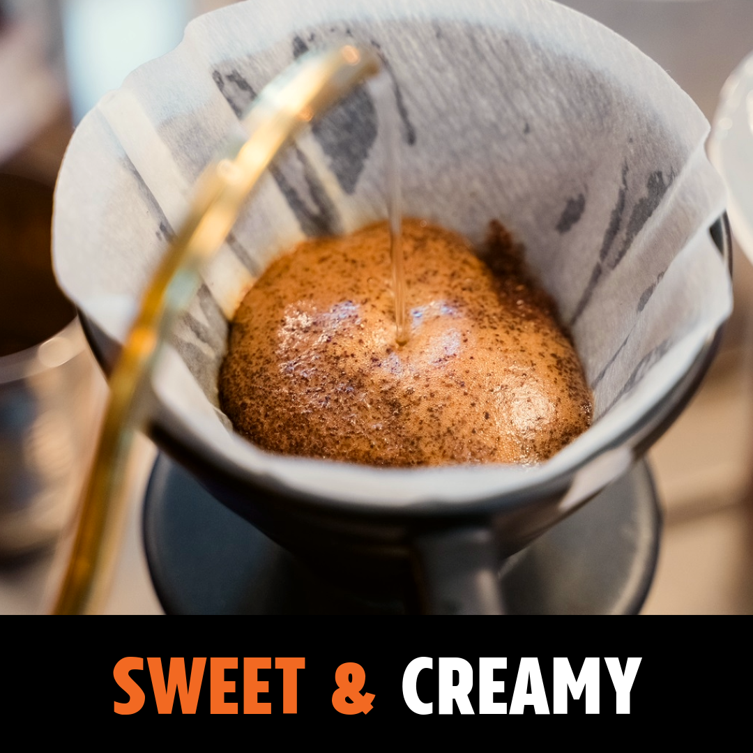 Brazil Yellow Catuai - Medium Roast