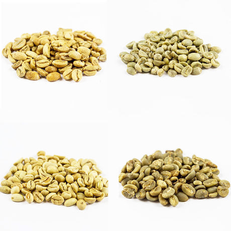 Redber, EARTHY PACK Green Unroasted Coffee beans, Redber Coffee