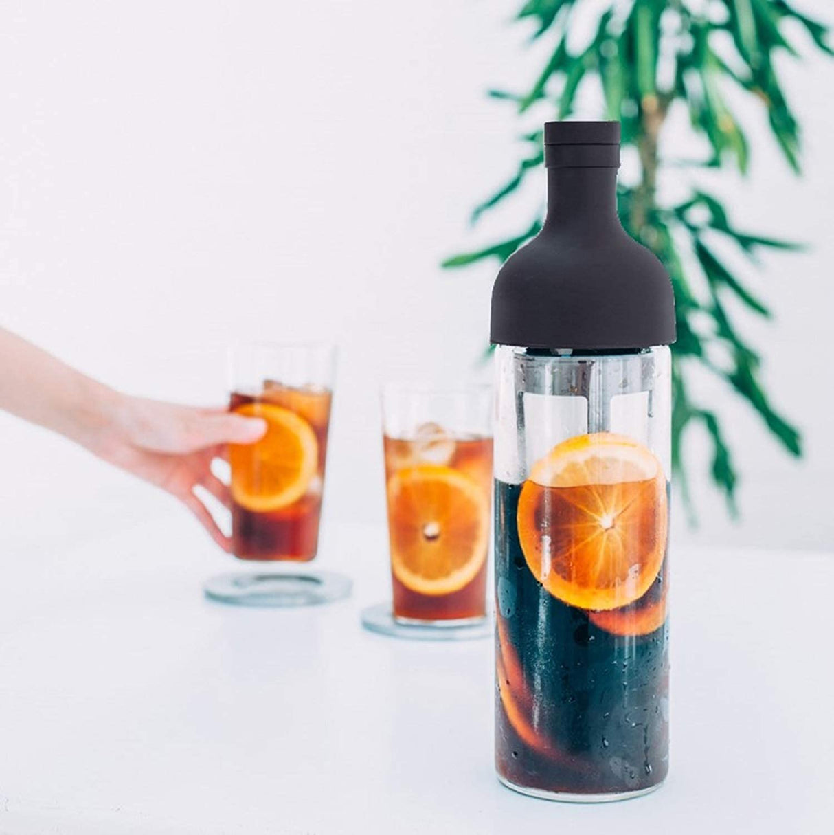 Hario, Hario Cold Brew Coffee Filter in Bottle - Black with Free Coffee, Redber Coffee