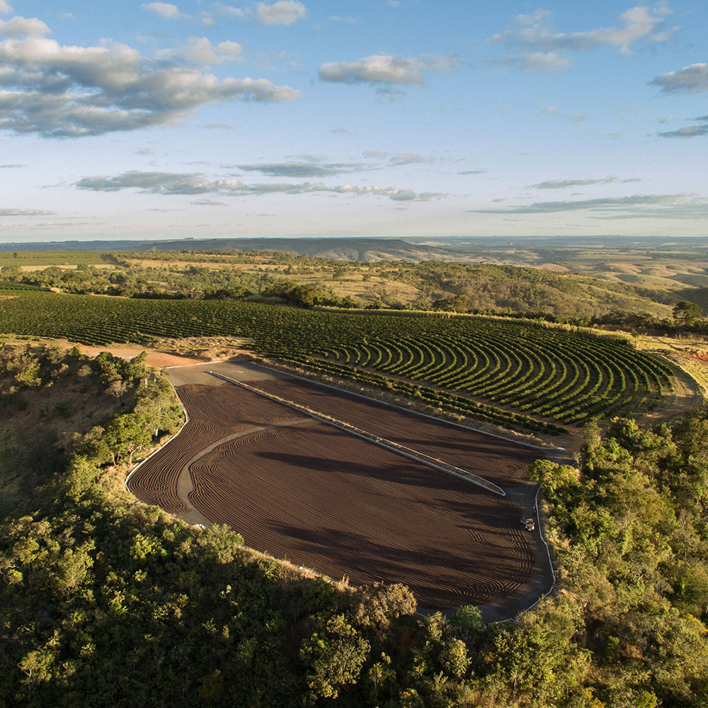 Redber, BRAZIL FINCA CACHOEIRA (NATURAL) - Medium-Dark Roast Coffee Beans Redber Coffee
