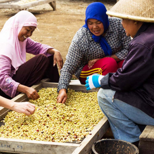 Redber, SUMATRA MANDHELING (GRADE 1) - Medium-Dark Roast Coffee Auto renew, Redber Coffee