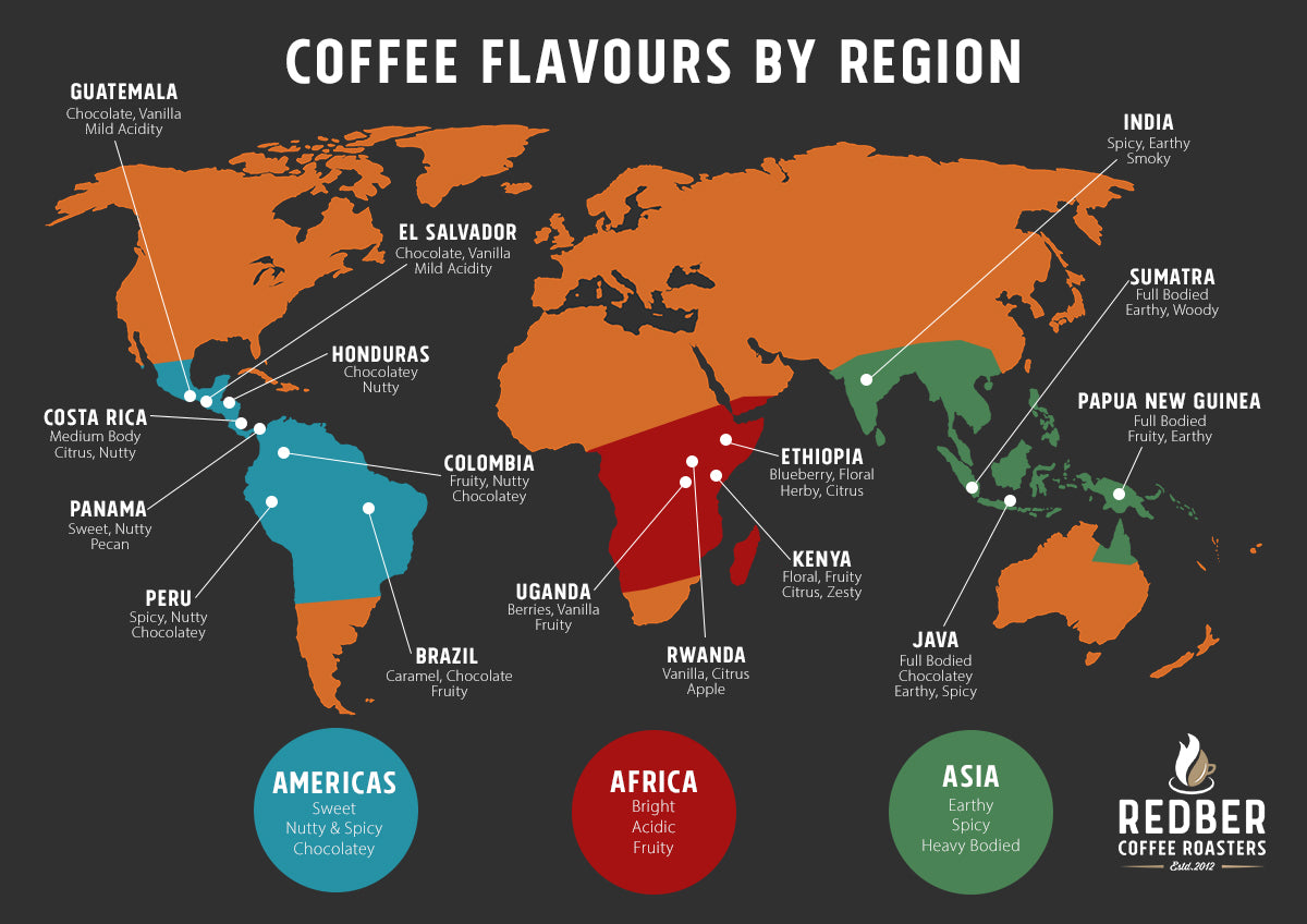 How to Choose your Coffee Beans The Best Coffee Beans Redber Coffee