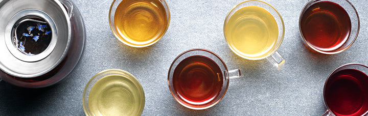 Everything You Need To Know About White Tea