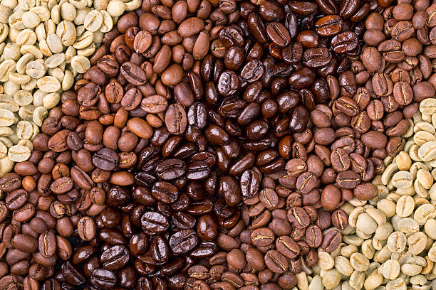 Different types of Coffee Beans I Redber Coffee
