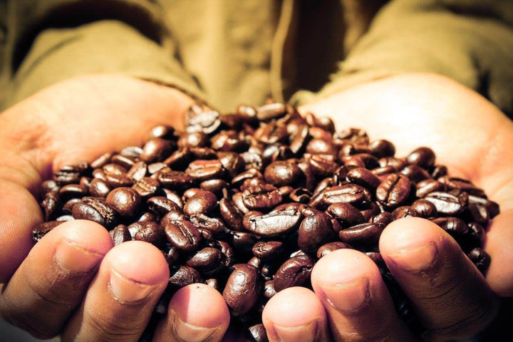 Understanding Speciality Coffee- Deciphering The Lingo