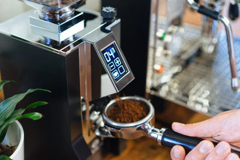 Eureka Coffee Grinders: Which Model Is Right for You?