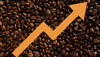 Rising Coffee Costs: The Real Story Behind Our Price Change