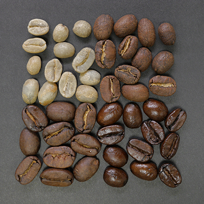 Best Green Coffee Beans for Home Roasting (Beginner-Friendly Picks)