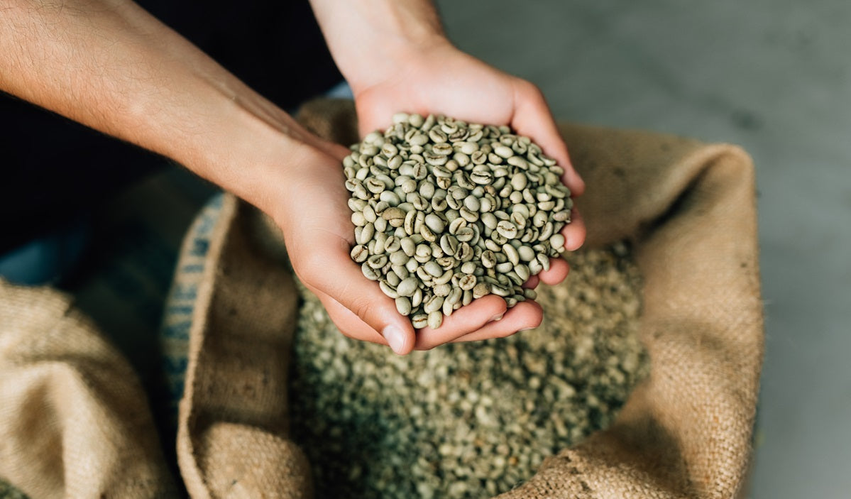 green coffee beans