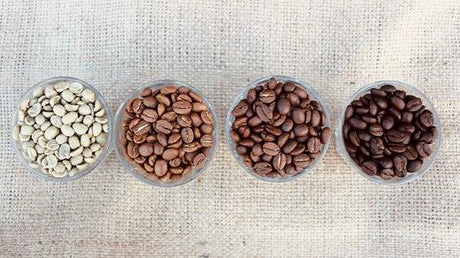 Understanding Roast Profiling - The Difference between Medium, Medium-Dark and Dark Roasts