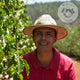 Sustainable Coffee Solutions