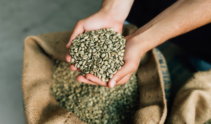 Green Unroasted Coffee Beans