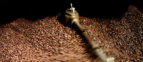 best coffee beans