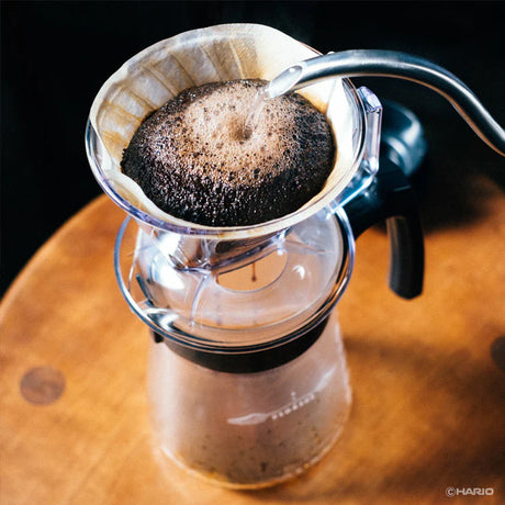 Hario Pegasus Dripper - Clear (Size 03) I Redber Coffee