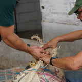 Colombia Cabresto - Medium-Dark Roast
