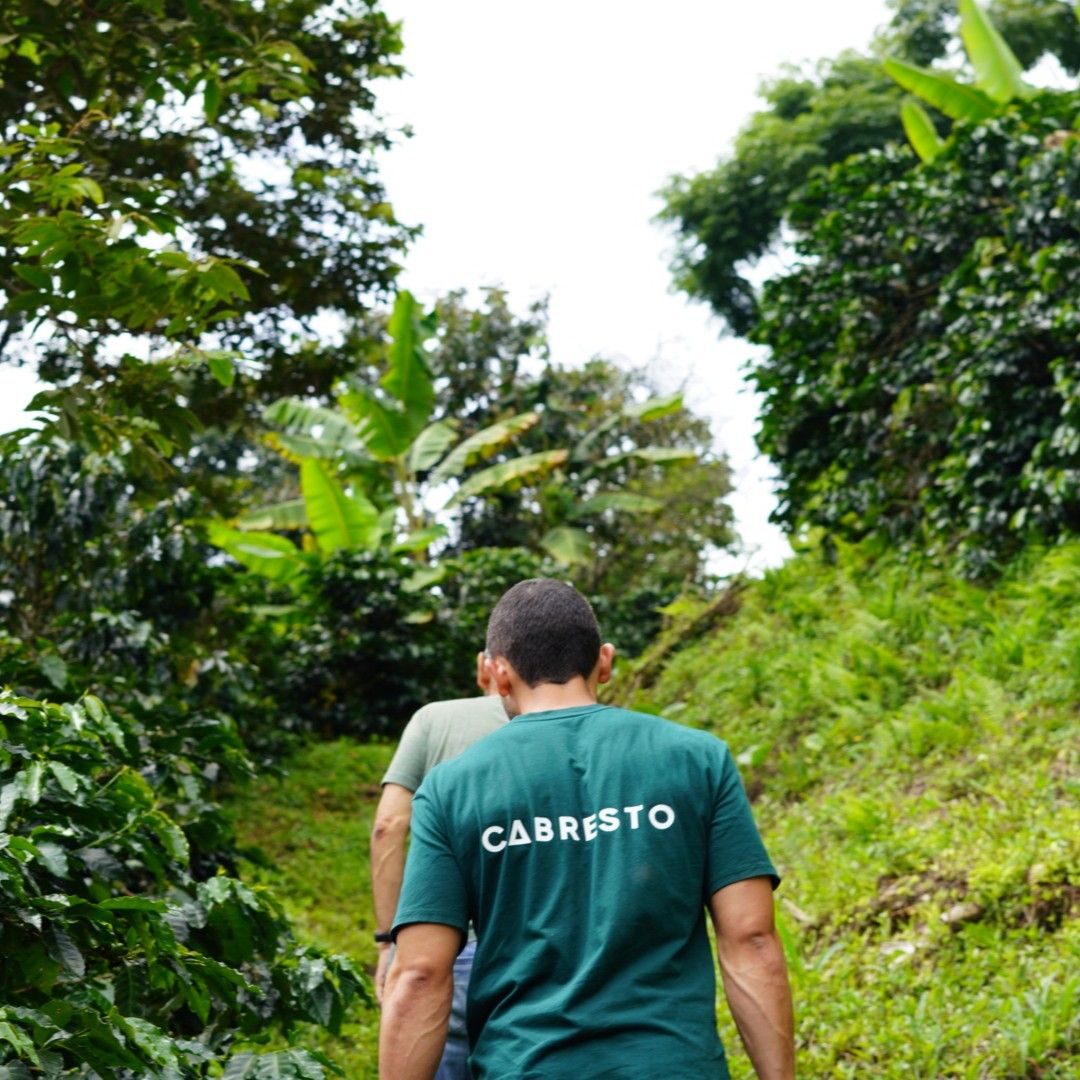 COLOMBIA CABRESTO - Dark Roast Coffee