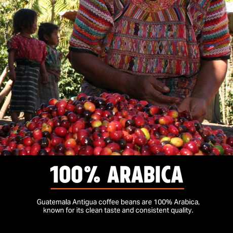 Guatemala Antigua - Medium-Dark Roast