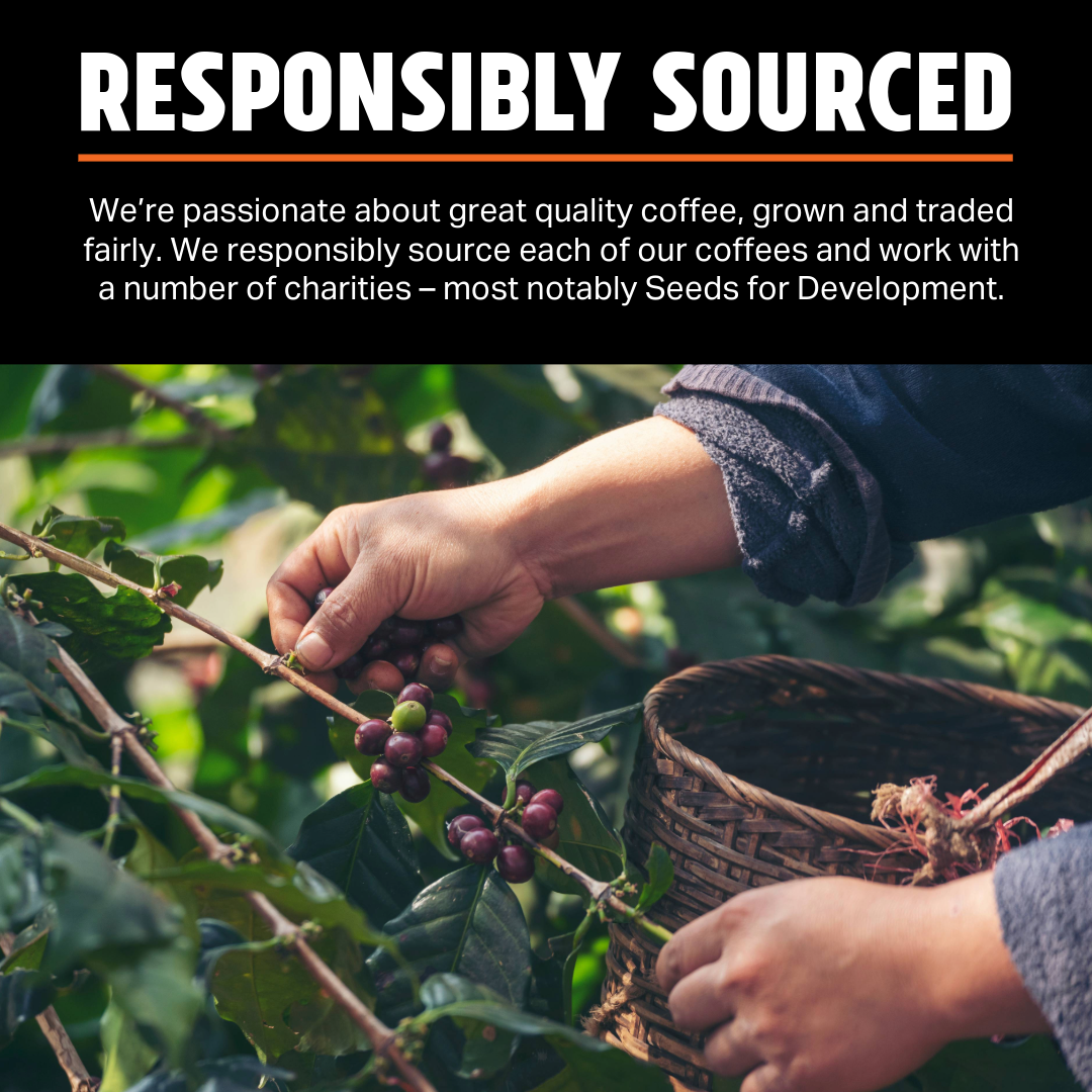 Guatemala Cha Chi Sugarcane Decaf – Medium-Dark Roast