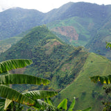 COLOMBIA CABRESTO - Dark Roast Coffee