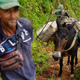 COLOMBIA CABRESTO ORGANIC Washed - Green Coffee Beans