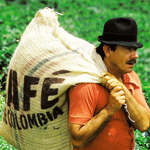 Colombia Excelso Huila – Bulk Wholesale 100% Arabica Whole Bean Coffee