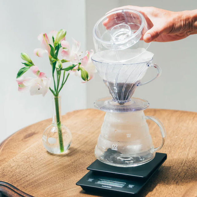Hario V60 Coffee Drip-Assist Set (Size 02)
