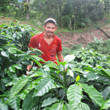 CAFÉ FRANÇAIS COFFEE BLEND