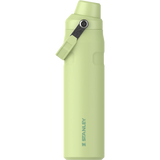 Stanley Aerolight Iceflow™ Fast Flow Bottle 0.6L - Citron I Redber Coffee