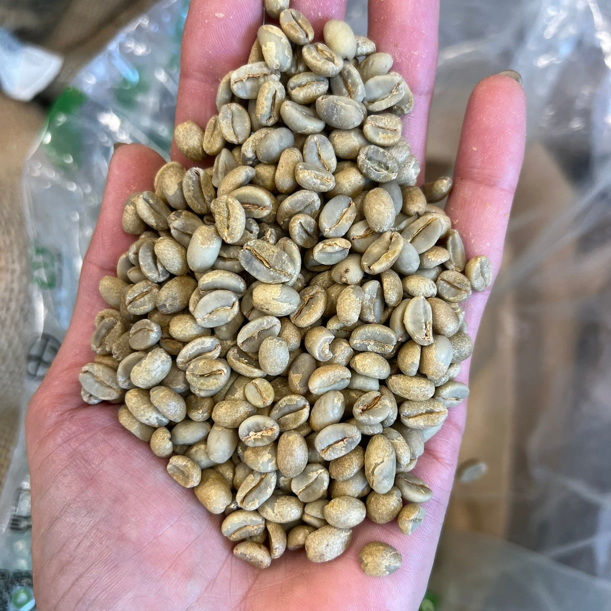ETHIOPIA YIRGACHEFFE KOKE NATURAL - Green Coffee Beans