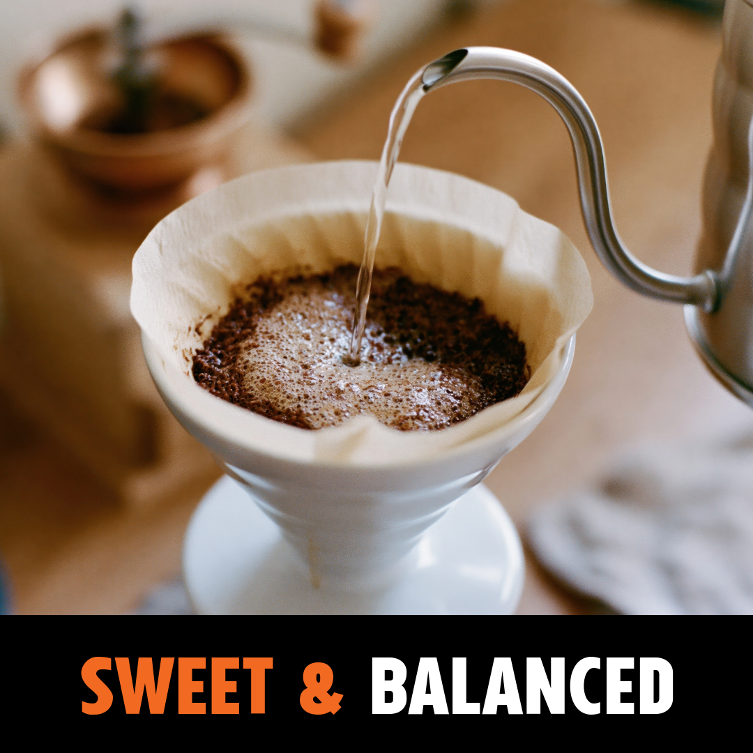 MEXICO SILTEPEC EL JAGUAR - Dark Roast