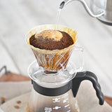 Hario Pegasus Dripper - Clear (Size 02)