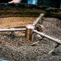 COLOMBIA FINCA SOFIA 19 - Green Coffee Beans