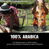 Rwanda Inzovu - Medium Roast