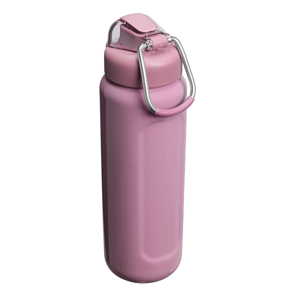 Stanley The Wellspring Bottle 0.71L - Purple Smoke Gloss