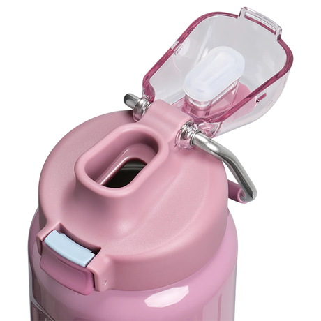 Stanley The Wellspring Bottle 0.71L - Purple Smoke Gloss