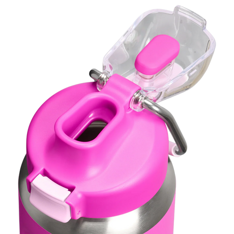 Stanley The Wellspring Bottle 0.71L - Violet Blossom