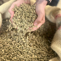 COLOMBIA FINCA SOFIA 19 - Green Coffee Beans, Redber Coffee