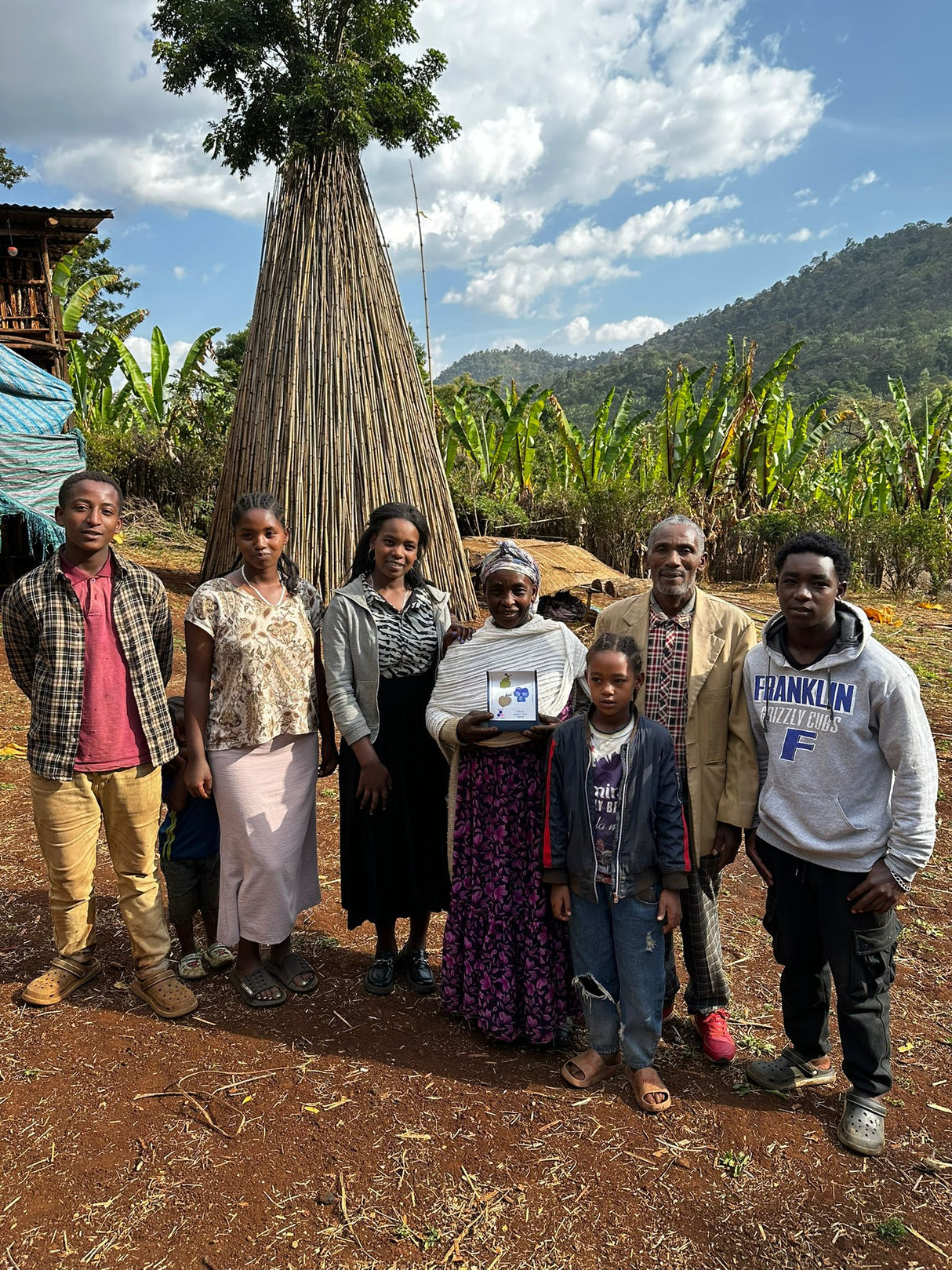 Ethiopia Yirgacheffee coffee farm
