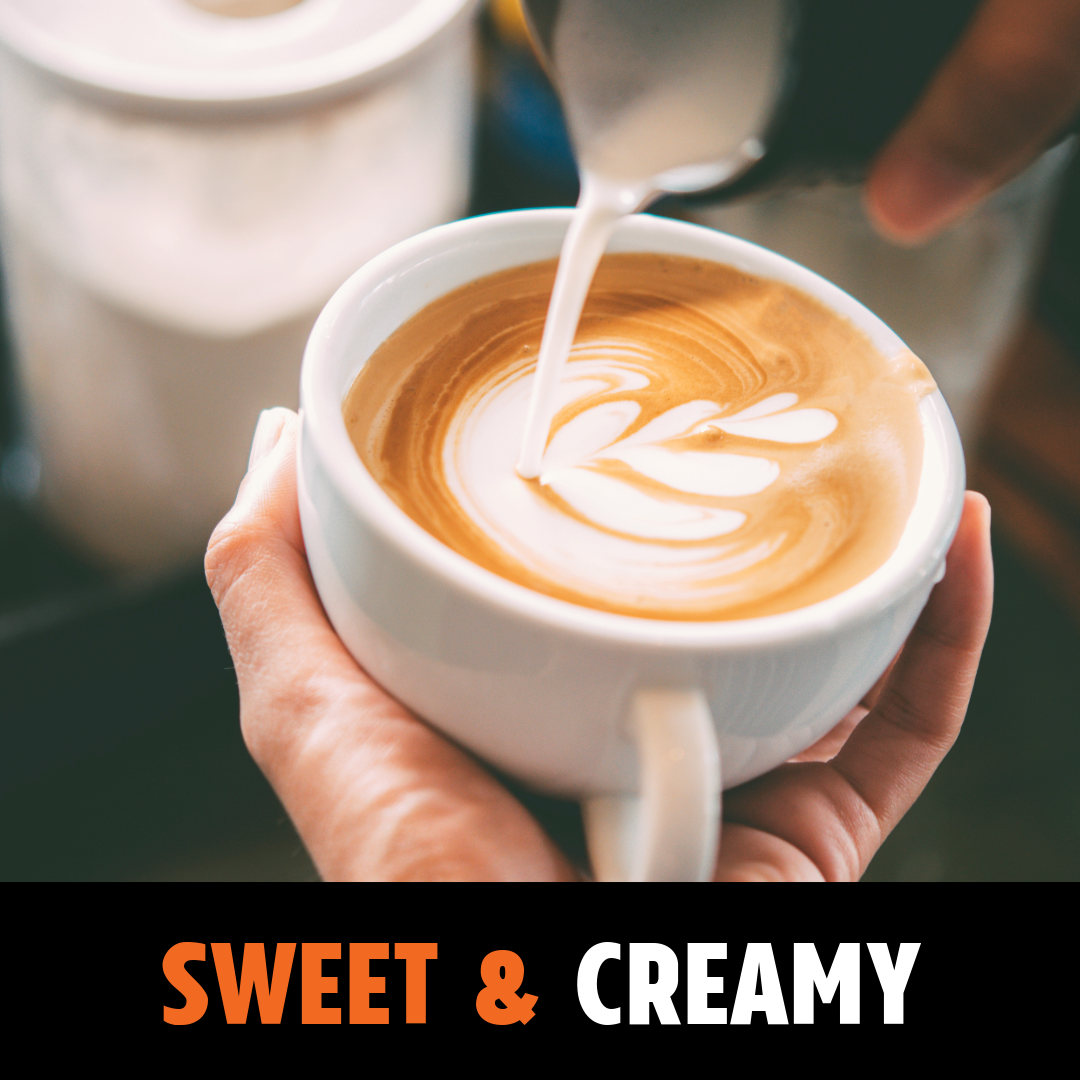 Brazil Yellow Catuai - Dark Roast