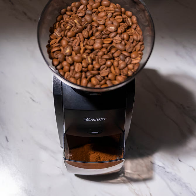 Baratza Encore Coffee Burr Grinder - Black